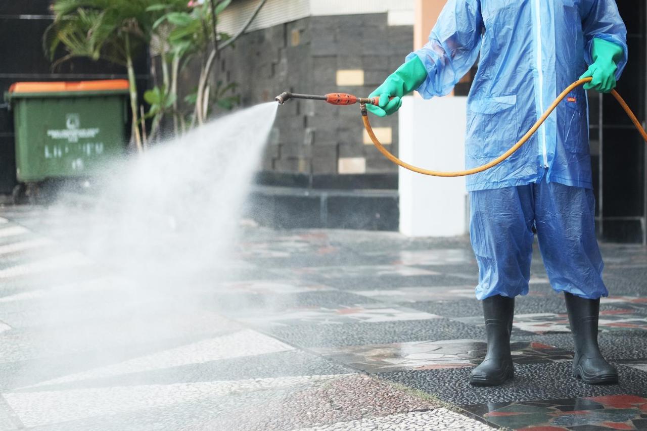 邦萨民宿 丹帕沙 外观 照片